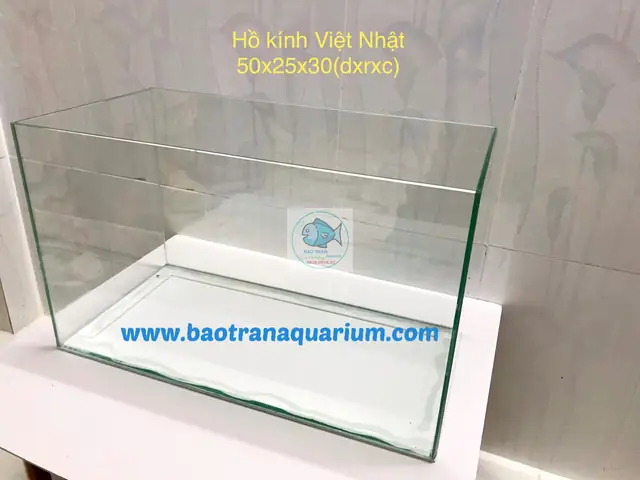 Hướng Dẫn Làm Hồ Cá Giá Rẻ: Tự Chế & Mua Ở Đâu Tốt Nhất