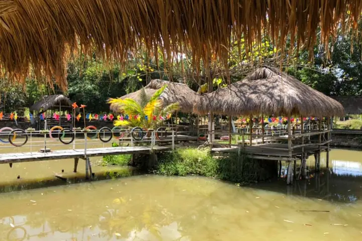 Dịch Vụ Làm Hồ Cá Nha Trang: Thi Công, Lắp Đặt & Báo Giá Chi Tiết