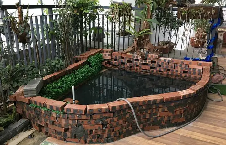 Hướng Dẫn Chi Tiết Cách Làm Hồ Cá Trên Sân Thượng Đẹp Và Đúng Kỹ Thuật