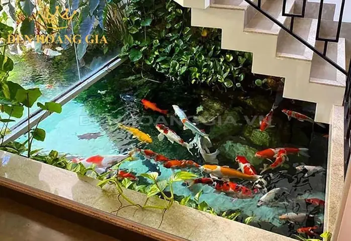 Hướng Dẫn Chi Tiết Cách Làm Hồ Cá Trong Nhà: Từ A-z Cho Người Mới Bắt Đầu