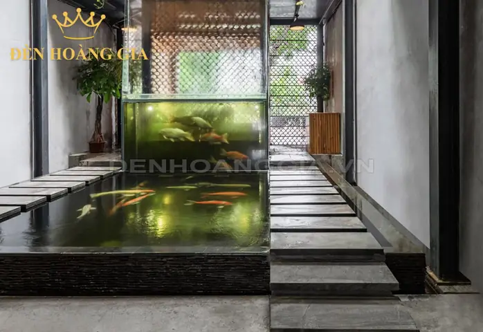 Hướng Dẫn Chi Tiết Cách Làm Hồ Cá Trong Nhà: Từ A-z Cho Người Mới Bắt Đầu