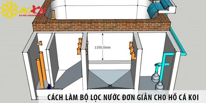 Hướng Dẫn Tự Làm Lọc Bể Cá Đơn Giản, Tiết Kiệm Tại Nhà