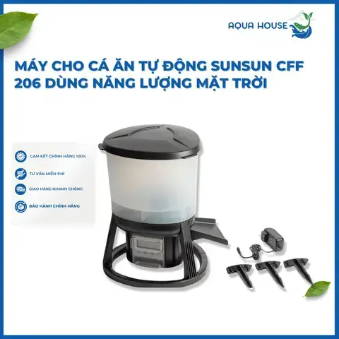 Tự Làm Máy Cho Cá Ăn Tự Động Đơn Giản: Hướng Dẫn Diy Chi Tiết