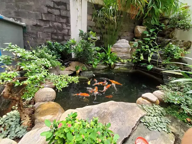 Hướng Dẫn Chi Tiết Cách Làm Tiểu Cảnh Hồ Cá Đẹp Tại Nhà