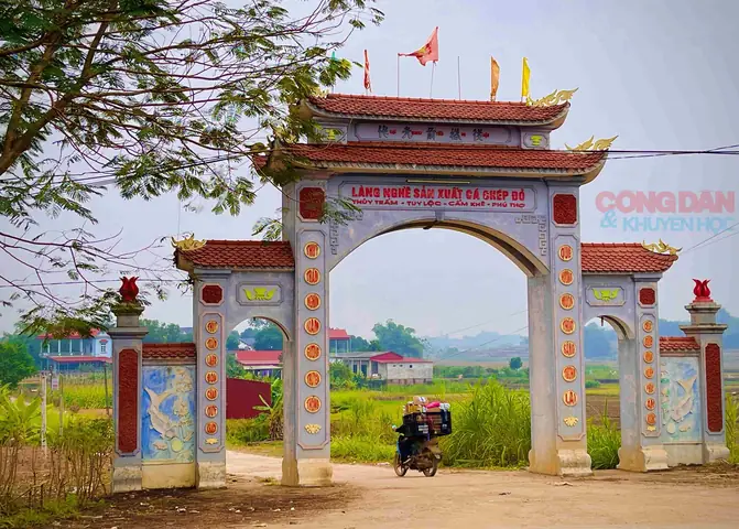Làng Nuôi Cá Chép Đỏ: Khám Phá Làng Nghề Truyền Thống & Nét Đẹp Văn Hóa