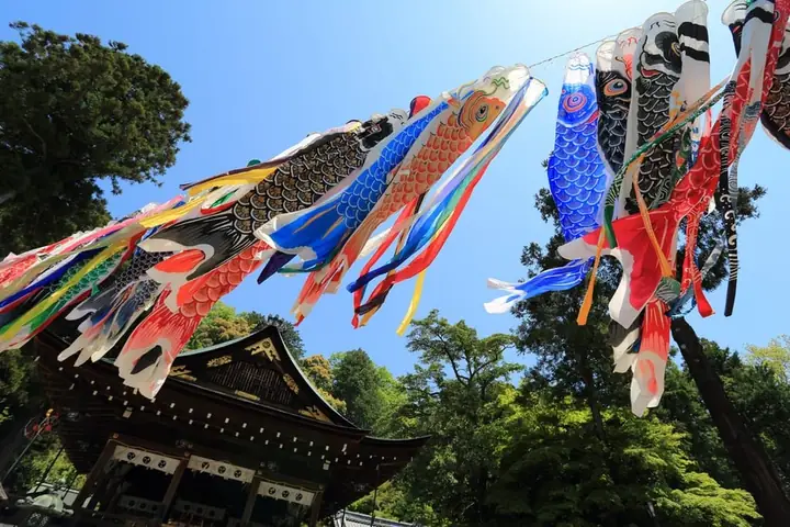 Lễ Hội Cá Chép Koinobori Matsuri: Ý Nghĩa, Thời Gian Và Cách Tổ Chức Tại Nhật Bản