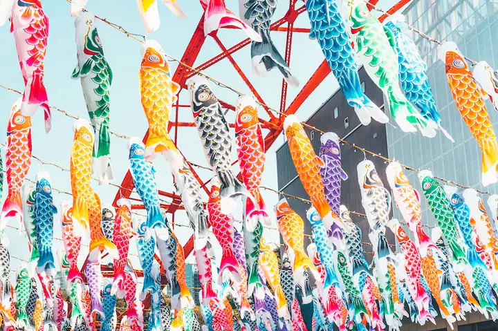 Lễ Hội Cá Chép Koinobori Matsuri: Ý Nghĩa, Thời Gian Và Cách Tổ Chức Tại Nhật Bản