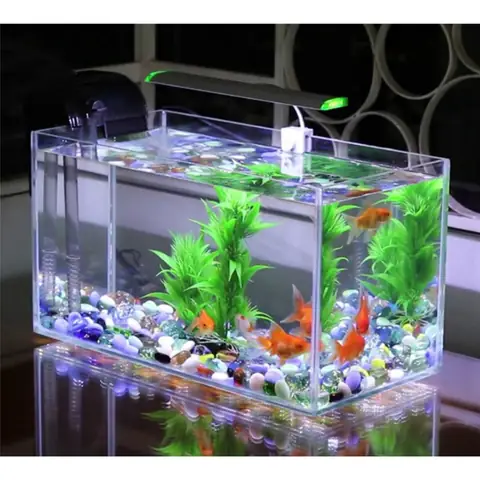 Liễn Nuôi Cá Cảnh: Khái Niệm, Đặc Điểm Và Hướng Dẫn Chi Tiết Liễn Nuôi Cá Cảnh: Khái Niệm, Đặc Điểm Và Hướng Dẫn Chi Tiết