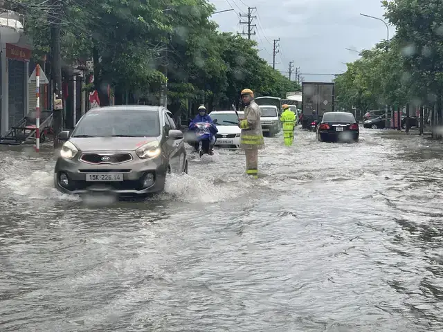 Liễn Nuôi Cá Cảnh: Khái Niệm, Đặc Điểm Và Hướng Dẫn Chi Tiết Liễn Nuôi Cá Cảnh: Khái Niệm, Đặc Điểm Và Hướng Dẫn Chi Tiết