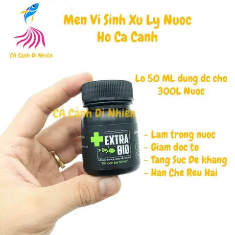 Lọ Vi Sinh Bể Cá: Công Dụng, Cách Dùng & Lưu Ý Chọn Lựa Hiệu Quả