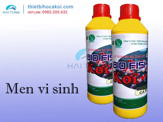 Men Vi Sinh Hồ Cá: Công Dụng, Cách Sử Dụng & Lựa Chọn Tốt Nhất