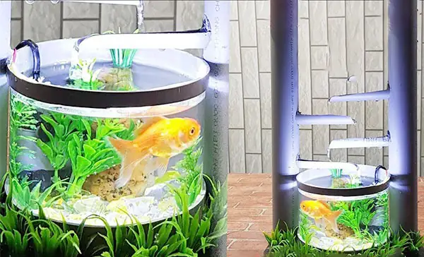 Hướng Dẫn Chế Lọc Bể Cá Bằng Ống Nhựa Pvc: Diy Đơn Giản Tại Nhà