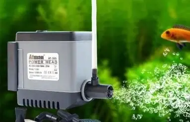 Lọc Bể Cá Bị Air: Nguyên Nhân, Cách Khắc Phục & Xử Lý Hiệu Quả
