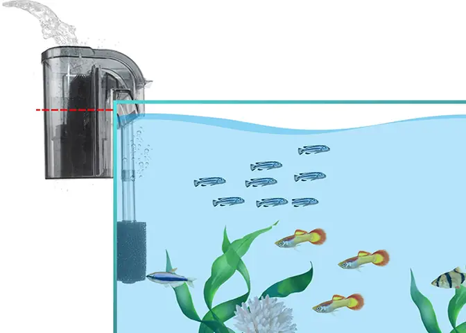 Lọc Bể Cá Bị Air: Nguyên Nhân, Cách Khắc Phục & Xử Lý Hiệu Quả