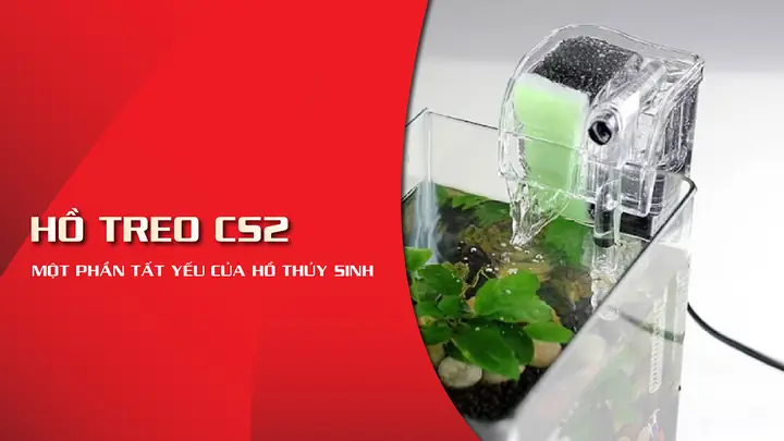 Lọc Bể Cá Cs2: Hướng Dẫn Chọn Mua Và Sử Dụng Hiệu Quả Lọc Bể Cá Cs2: Hướng Dẫn Chọn Mua Và Sử Dụng Hiệu Quả