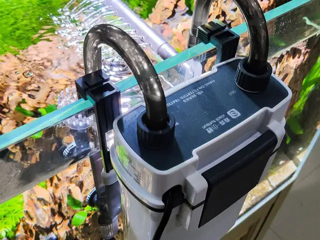 Lọc Bể Cá Cs2: Hướng Dẫn Chọn Mua Và Sử Dụng Hiệu Quả Lọc Bể Cá Cs2: Hướng Dẫn Chọn Mua Và Sử Dụng Hiệu Quả