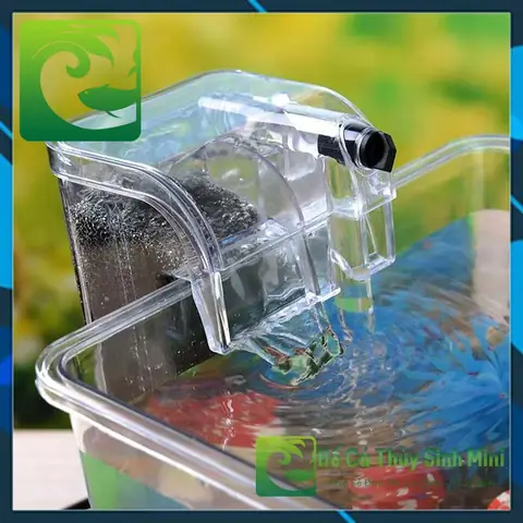 Top Máy Lọc Bể Cá Mini: Loại Nào Phù Hợp, Mua Ở Đâu Giá Tốt?