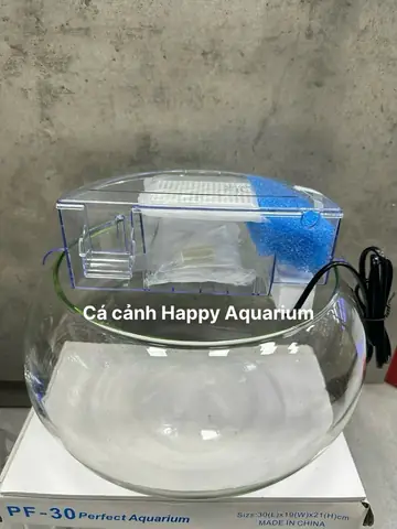 Lọc Bể Cá Tròn: Hướng Dẫn Chọn, Lắp Đặt Và Các Loại Phổ Biến