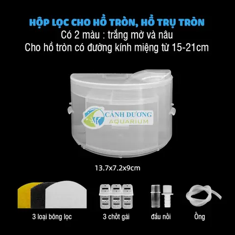 Lọc Bể Cá Tròn: Hướng Dẫn Chọn, Lắp Đặt Và Các Loại Phổ Biến
