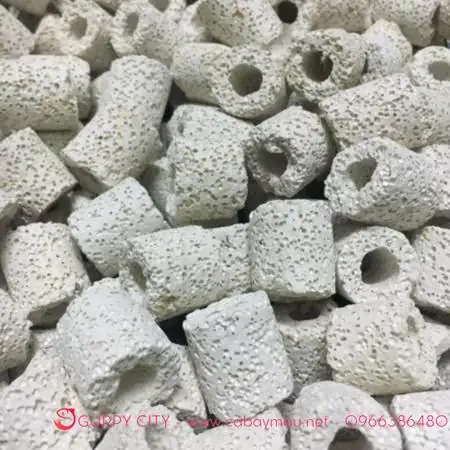 Lựa Chọn Bộ Lọc Hồ Cá Bảy Màu Phù Hợp: Hướng Dẫn Từ A-z