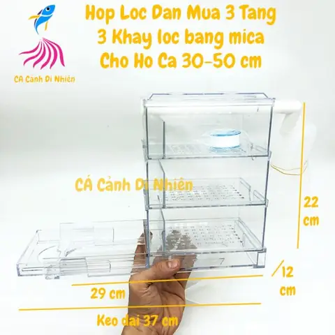 Lọc Dàn Mưa Hồ Cá: Hướng Dẫn Chọn, Lắp Đặt Và Ưu Điểm Vượt Trội