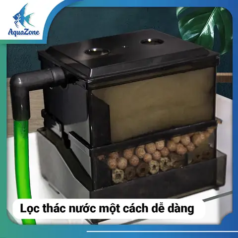 Lọc Dàn Mưa Hồ Cá: Hướng Dẫn Chọn, Lắp Đặt Và Ưu Điểm Vượt Trội