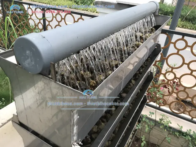 Lọc Dàn Mưa Hồ Cá: Hướng Dẫn Chọn, Lắp Đặt Và Ưu Điểm Vượt Trội