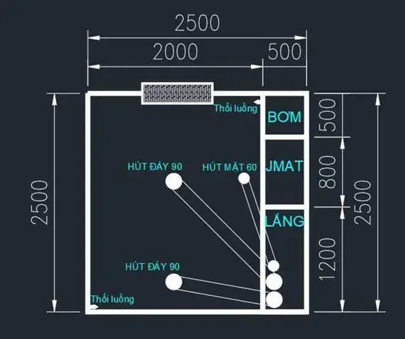 Hướng Dẫn Làm Lọc Hồ Cá Đơn Giản Giữ Nước Trong Vắt Như Pha Lê