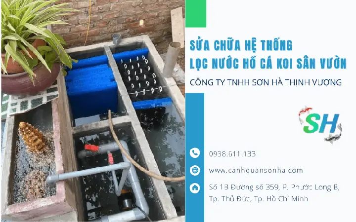 Lọc Hồ Cá Sân Vườn: Nguyên Lý, Cách Chọn & Lắp Đặt Chuẩn