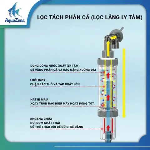 Lọc Ly Tâm Hồ Cá: Hướng Dẫn Chi Tiết Và Lợi Ích Cho Bể Cá Của Bạn