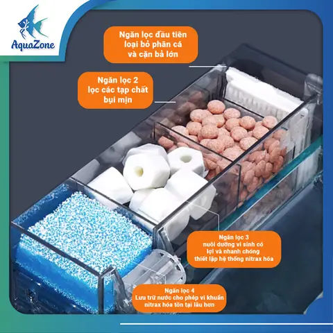 Lọc Ngăn Bể Cá: Hướng Dẫn Chọn Lọc & Cấu Tạo Chuẩn Nhất