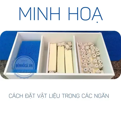 Lọc Ngăn Bể Cá: Hướng Dẫn Chọn Lọc & Cấu Tạo Chuẩn Nhất