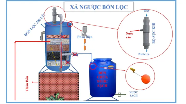 Hướng Dẫn Lọc Nước Hồ Cá Bằng Cát: Cách Làm Hiệu Quả, Tiết Kiệm