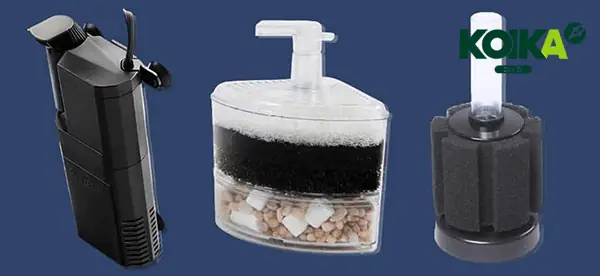 Lọc Sủi Vi Sinh Bể Cá: Hướng Dẫn Chọn Mua & Sử Dụng Hiệu Quả