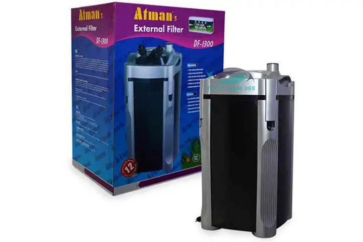 Lọc Thùng Bể Cá: Hướng Dẫn Chọn, Setup & Lợi Ích Tối Ưu