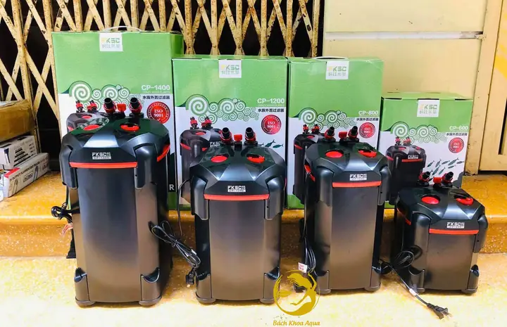 Lọc Thùng Bể Cá: Hướng Dẫn Chọn, Setup & Lợi Ích Tối Ưu