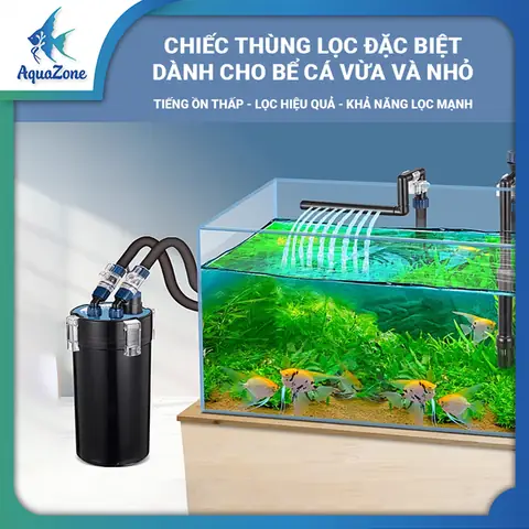 Lọc Thùng Bể Cá: Hướng Dẫn Chọn, Setup & Lợi Ích Tối Ưu
