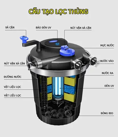 Lọc Thùng Bể Cá: Hướng Dẫn Chọn, Setup & Lợi Ích Tối Ưu