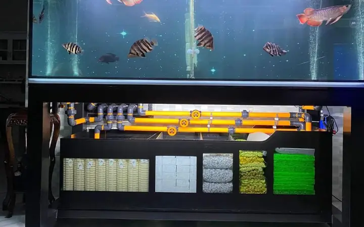Lọc Tràn Dưới Bể Cá Rồng: Hướng Dẫn Chi Tiết Từ A-z Cho Người Mới Lọc Tràn Dưới Bể Cá Rồng: Hướng Dẫn Chi Tiết Từ A-z Cho Người Mới