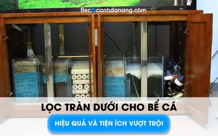 Lọc Tràn Dưới Cho Bể Cá: Cấu Tạo, Cách Lắp Đặt & Lợi Ích Vượt Trội