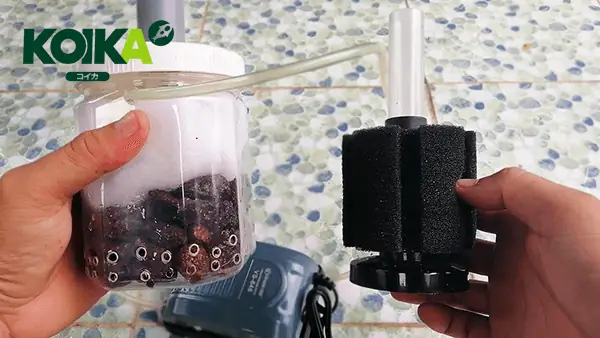 Hướng Dẫn Chế Tạo & Lựa Chọn Lọc Vi Sinh Bể Cá Hiệu Quả