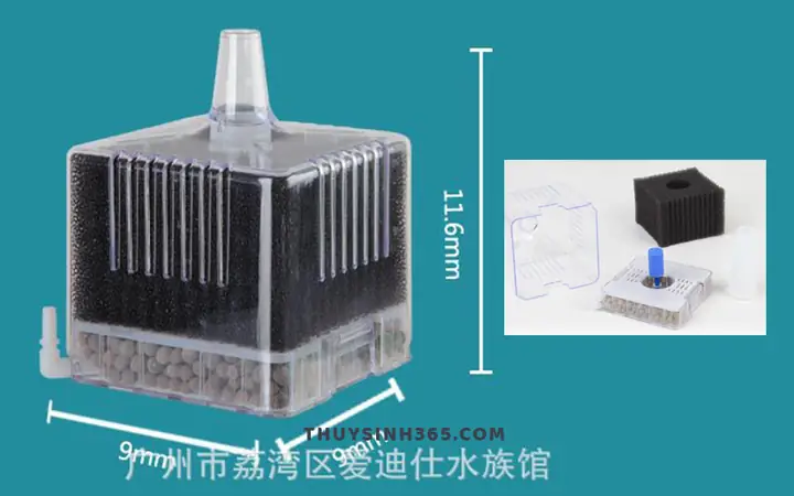 Lọc Vi Sinh Hồ Cá: Hướng Dẫn Chi Tiết Cách Hoạt Động & Lựa Chọn Tốt Nhất