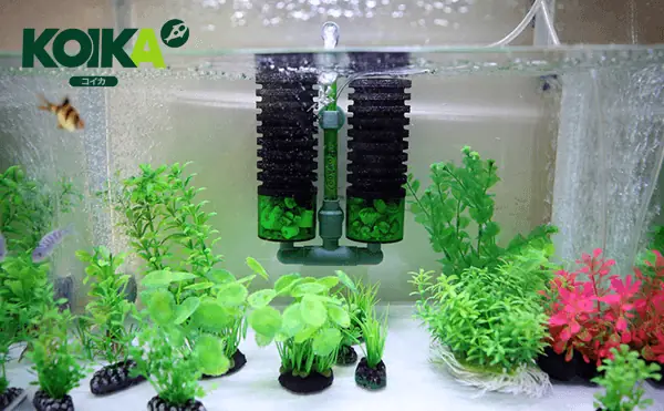 Lọc Vi Sinh Hồ Cá: Hướng Dẫn Chi Tiết Cách Hoạt Động & Lựa Chọn Tốt Nhất
