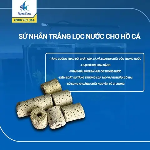Lọc Vi Sinh Hồ Cá: Hướng Dẫn Chi Tiết Cách Hoạt Động & Lựa Chọn Tốt Nhất