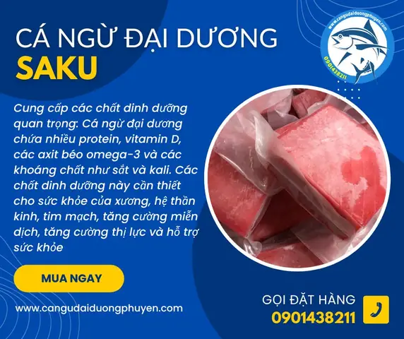 Cá Ngừ Đại Dương: 7 Lợi Ích Sức Khỏe Tuyệt Vời Cho Tim Mạch, Vóc Dáng Và Trí Não