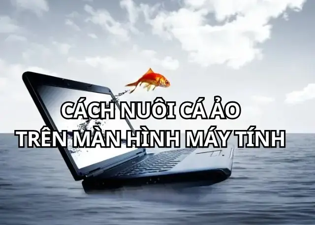 Màn Hình Chờ Cá Bơi Lội: Hướng Dẫn Chọn, Cài Đặt & Top Ứng Dụng Hay Nhất