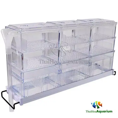 Máng Lọc Hồ Cá: Lựa Chọn, Cách Lắp Đặt Và Tự Làm Hiệu Quả Máng Lọc Hồ Cá: Lựa Chọn, Cách Lắp Đặt Và Tự Làm Hiệu Quả