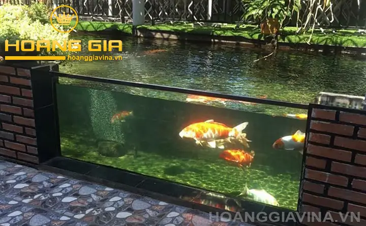 Mẫu Hồ Cá Kính Đẹp: Top Thiết Kế Sang Trọng & Lưu Ý Chọn Lựa