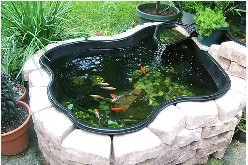 Top 30+ Mẫu Hồ Cá Mini Đẹp, Độc Đáo Cho Mọi Không Gian Top 30+ Mẫu Hồ Cá Mini Đẹp, Độc Đáo Cho Mọi Không Gian