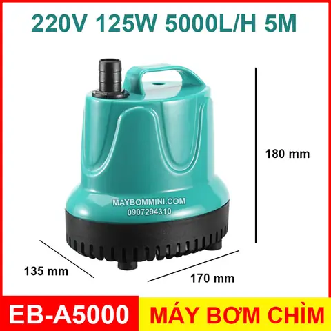 Máy Bơm Chìm Hồ Cá Hòn Non Bộ: Lựa Chọn, Lắp Đặt & Vận Hành Hiệu Quả